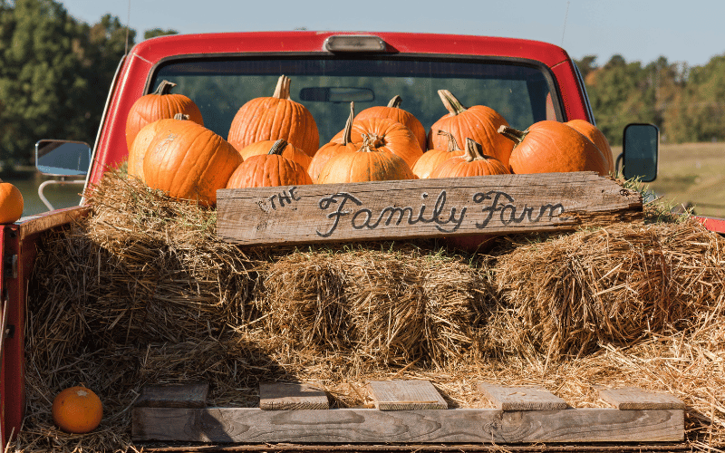 Cozy Fall Hayrides 