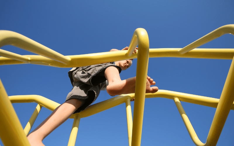 Disassembly and Storage of outdoor jungle gym