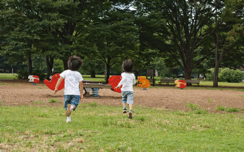 How Playground Equipment Supports Child Development