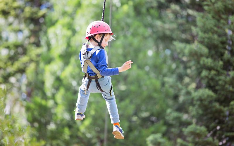 How to Start an Adventure Park From Scratch How to Start an Adventure Park From Scratch